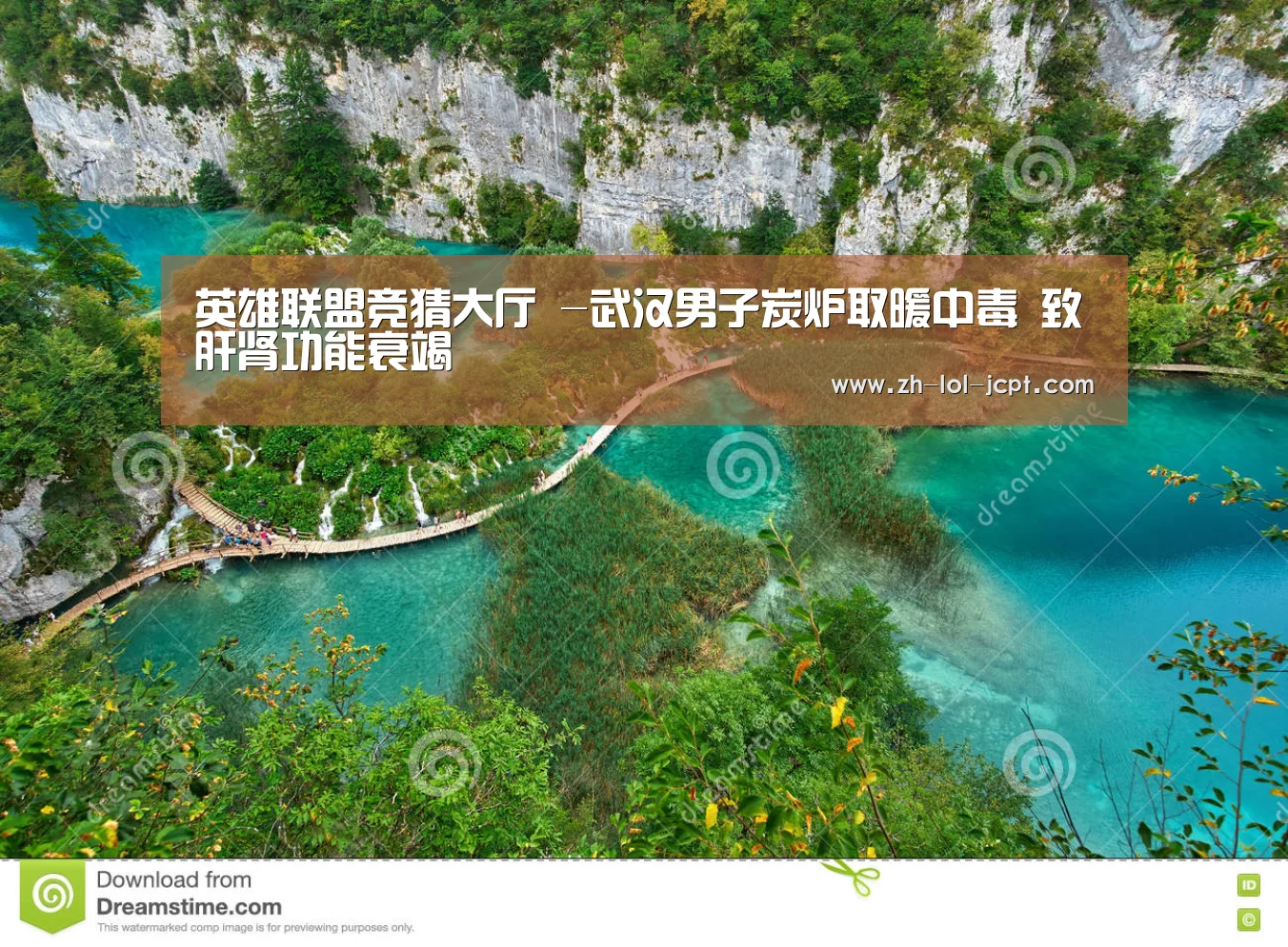 英雄联盟竞猜大厅 -武汉男子炭炉取暖中毒 致肝肾功能衰竭(图1) 英雄联盟竞猜大厅