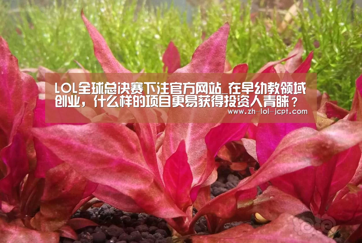 LOL全球总决赛下注官方网站_在早幼教领域创业,什么样的项目更易获得投资人青睐?(图3) LOL全球总决赛下注官方网站