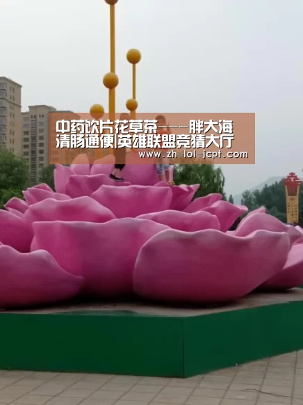 中药饮片花草茶---胖大海 清肠通便|英雄联盟竞猜大厅 (图3) 英雄联盟竞猜大厅