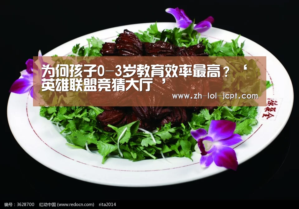 为何孩子0-3岁教育效率最高?‘英雄联盟竞猜大厅 ’(图4) 英雄联盟竞猜大厅