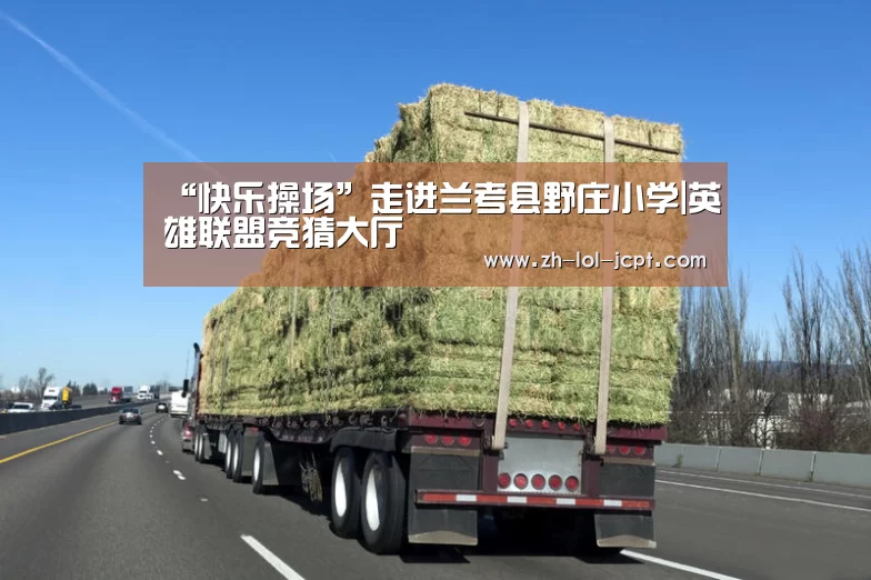 “快乐操场”走进兰考县野庄小学|英雄联盟竞猜大厅 (图2) LOL全球总决赛下注官方网站