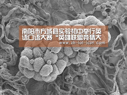 南阳市方城县实验初中举行英语口语大赛“英雄联盟竞猜大厅 ”(图1) 英雄联盟竞猜大厅